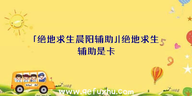 「绝地求生晨阳辅助」|绝地求生辅助是卡